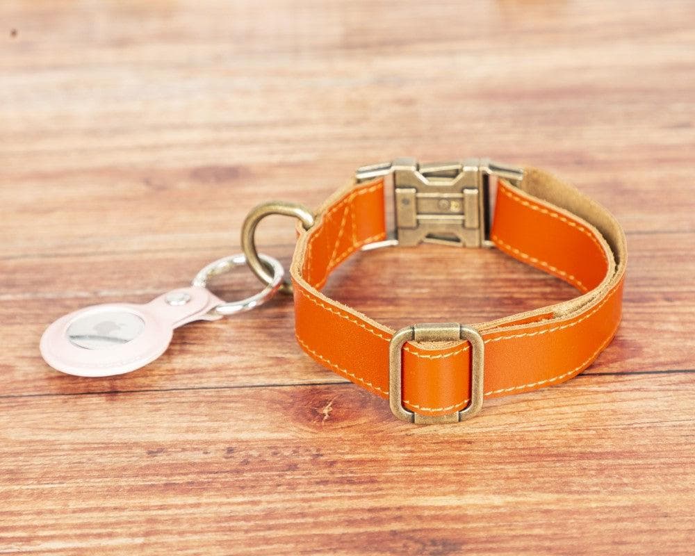 Collier en cuir pour chien Scooby