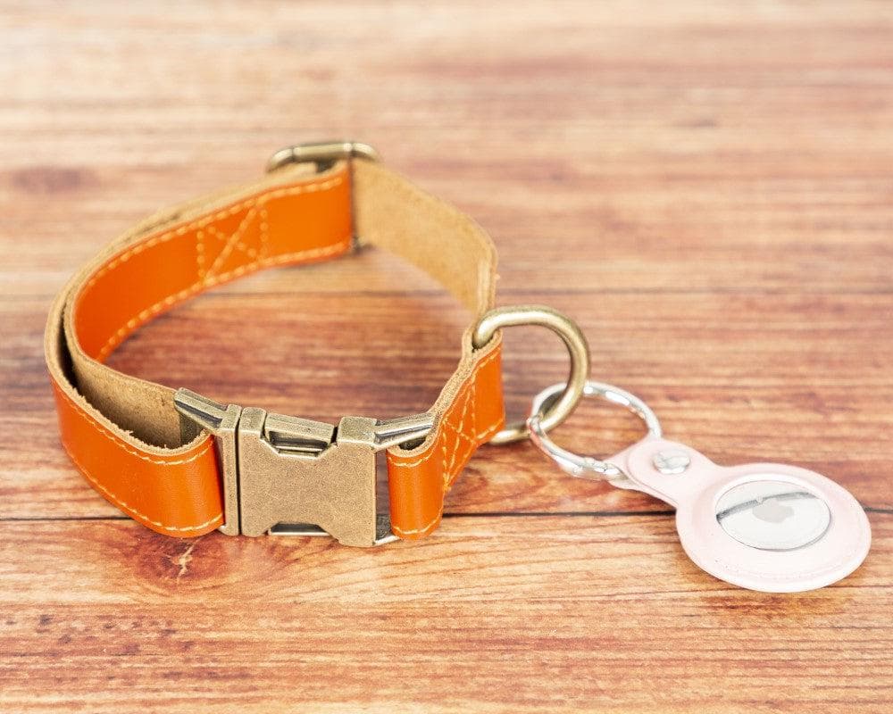 Collier en cuir pour chien Scooby