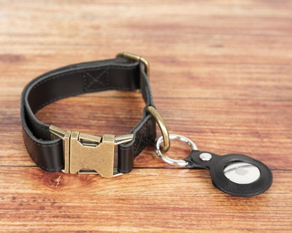 Scooby genuine leather dog collar handmade for durability and comfort