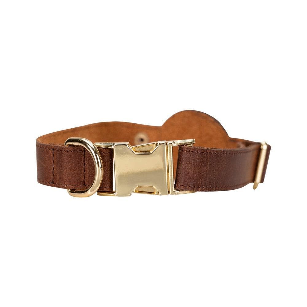 Premium leather dog collar compatible with Apple AirTag (AirTag not included)
