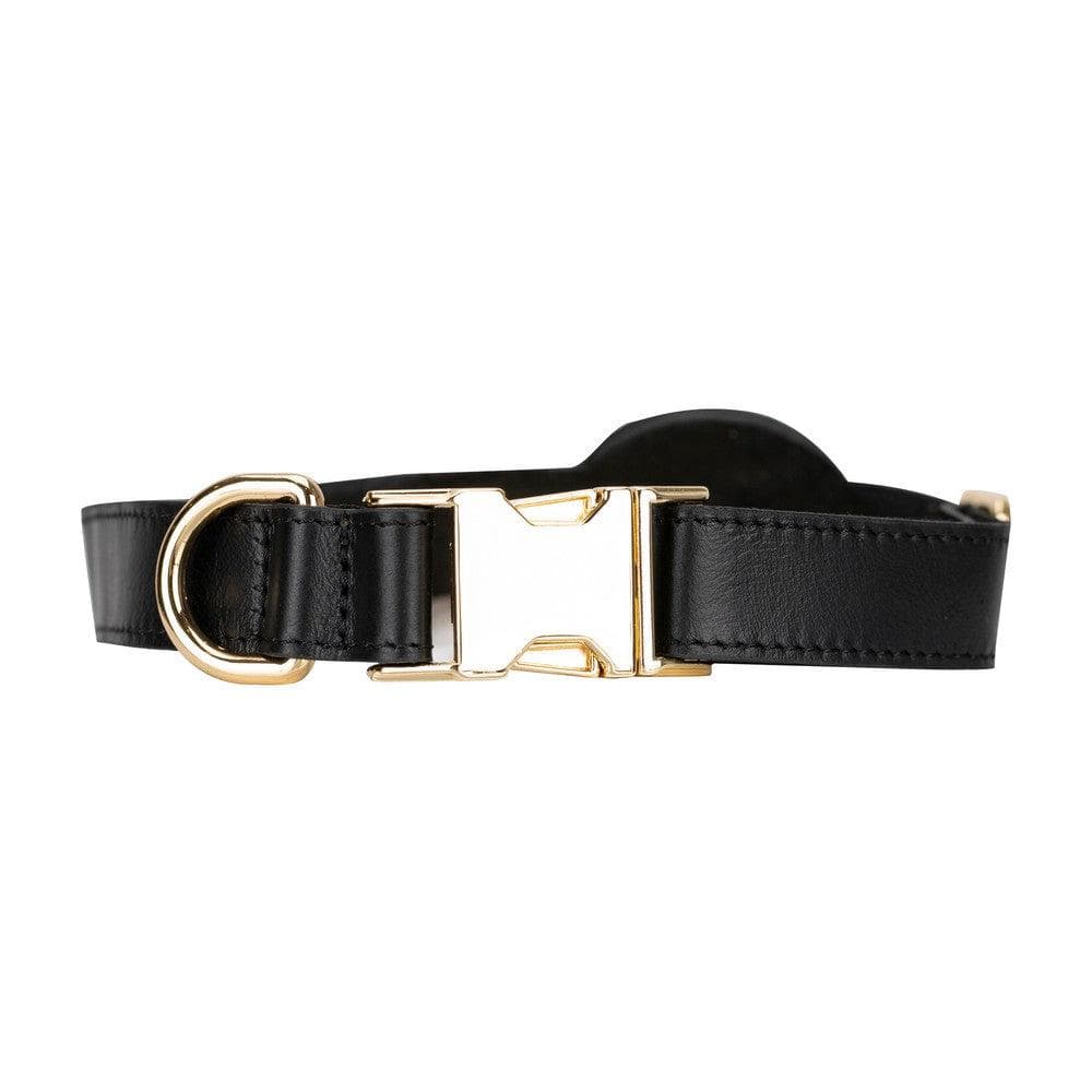 Collier en cuir Scooby pour chien avec emplacement AirTag