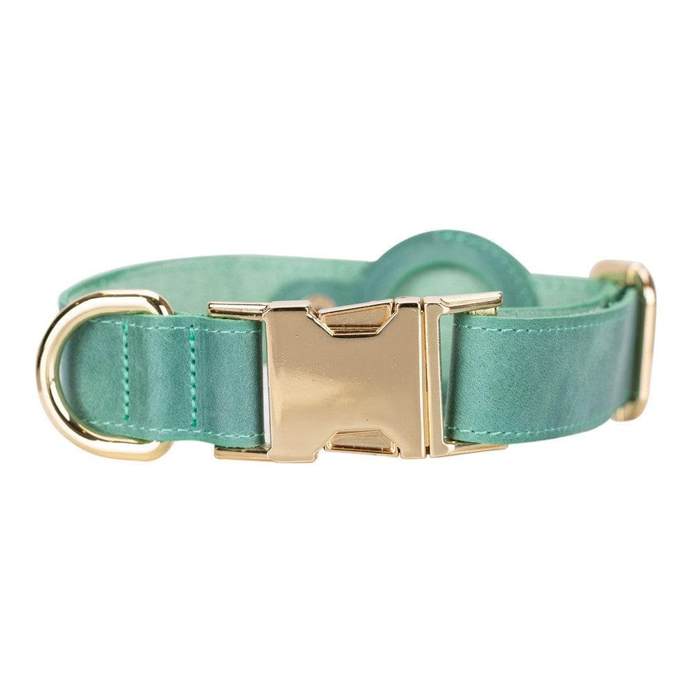 Collier en cuir Scooby pour chien avec emplacement AirTag
