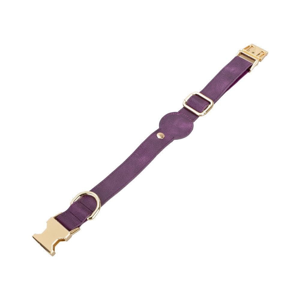 Collier en cuir Scooby pour chien avec emplacement AirTag