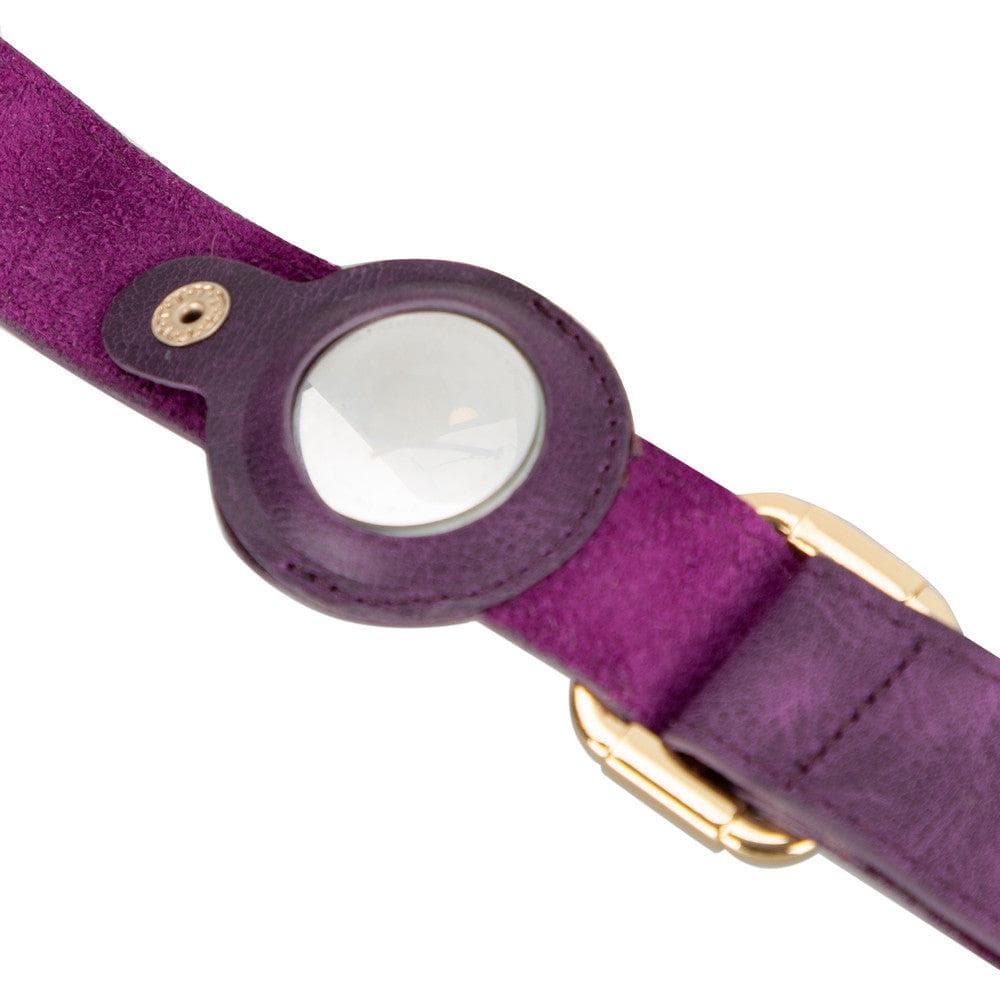 Collier en cuir Scooby pour chien avec emplacement AirTag