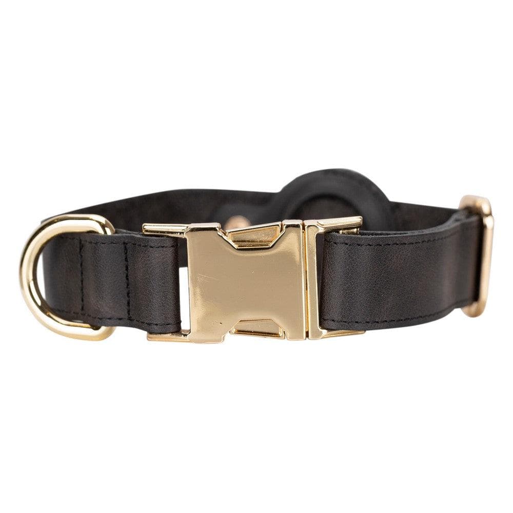 Collier en cuir Scooby pour chien avec emplacement AirTag
