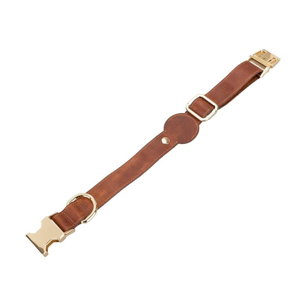 Collier en cuir Scooby pour chien avec emplacement AirTag
