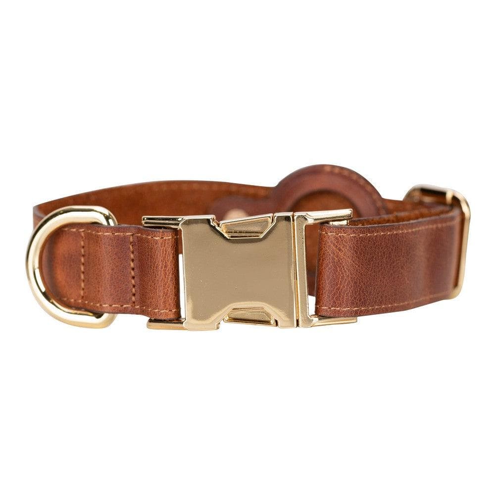Collier en cuir Scooby pour chien avec emplacement AirTag