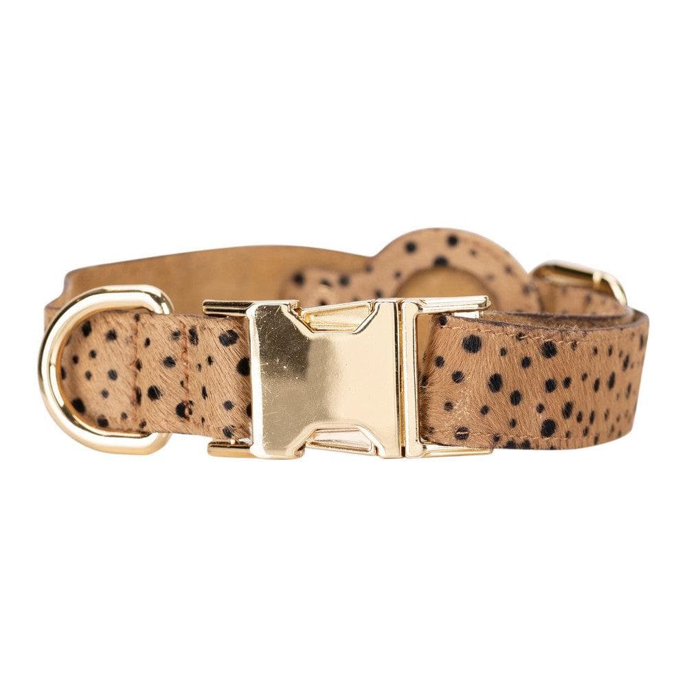 Collier en cuir Scooby pour chien avec emplacement AirTag