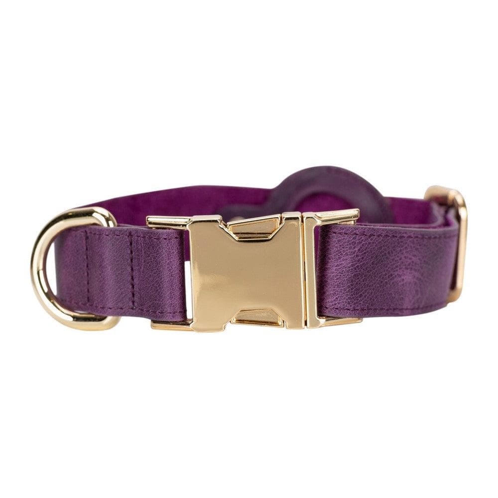Collier en cuir Scooby pour chien avec emplacement AirTag