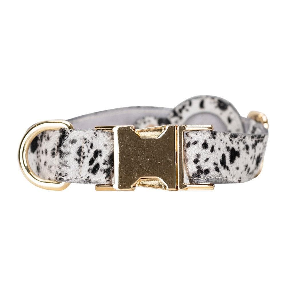 Collier en cuir Scooby pour chien avec emplacement AirTag