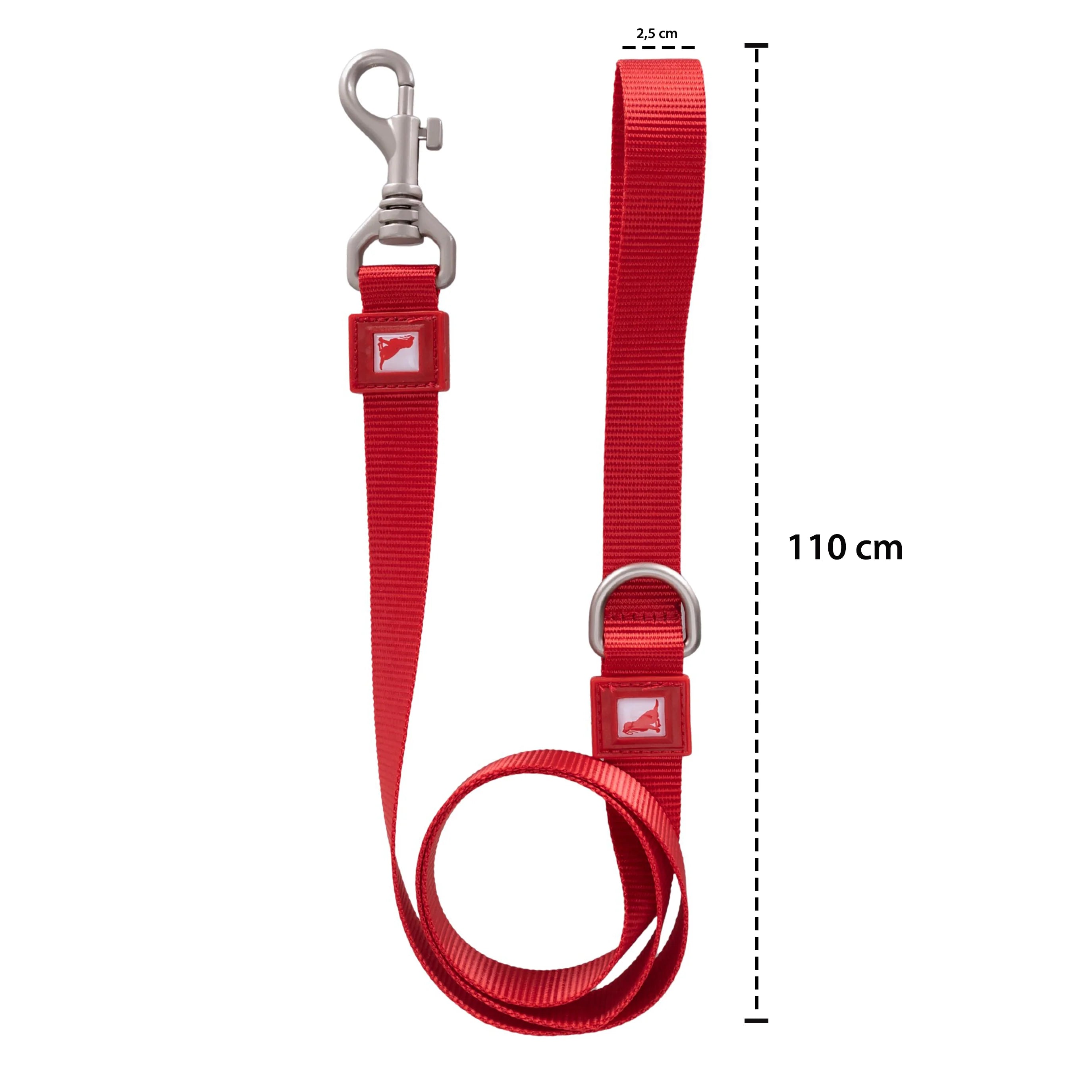 Solid Color Recycled Yarn Dog Leash