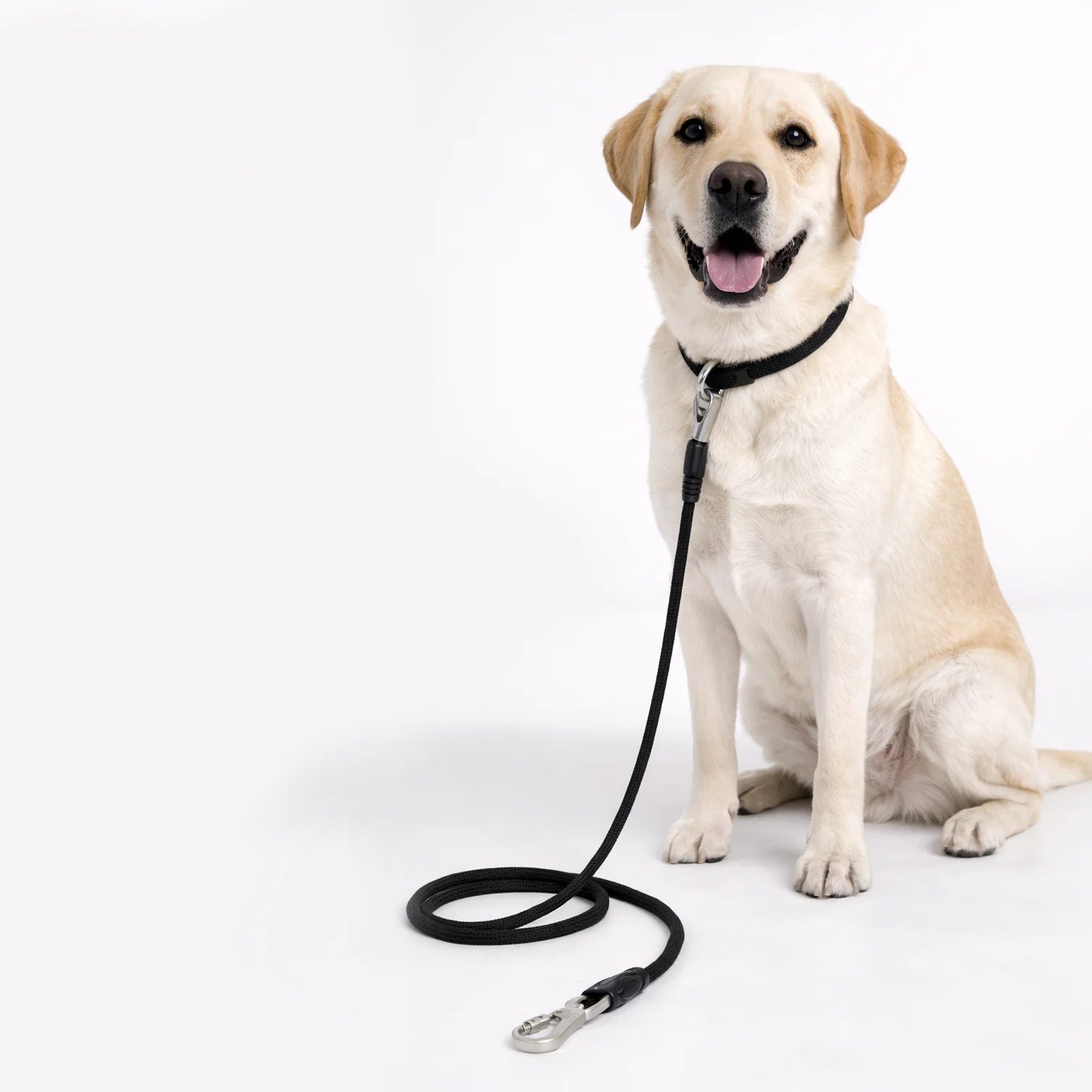 Polypropylene Rope Dog Leash - 11mm/180cm