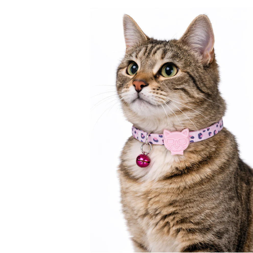 Cat wearing a pink collar with a bell on a white background